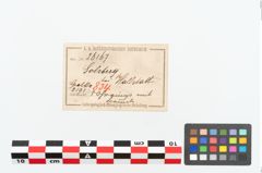 Etikett zu Bronzeschellenanhänger (NHMW-PRAE-026167)